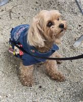 095 CTC Jahrestreffen 2025 Fremdingen