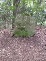 474 CTC Jahrestreffen 2025 Fremdingen