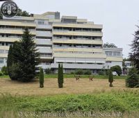 Jahrestreffen 2024 Bad Soden 350
